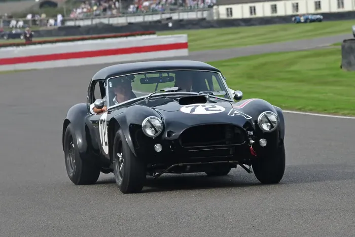 Rights Managed : CJ13 1313 AC Cobra Rights Managed : CJ13 1313 AC Cobra