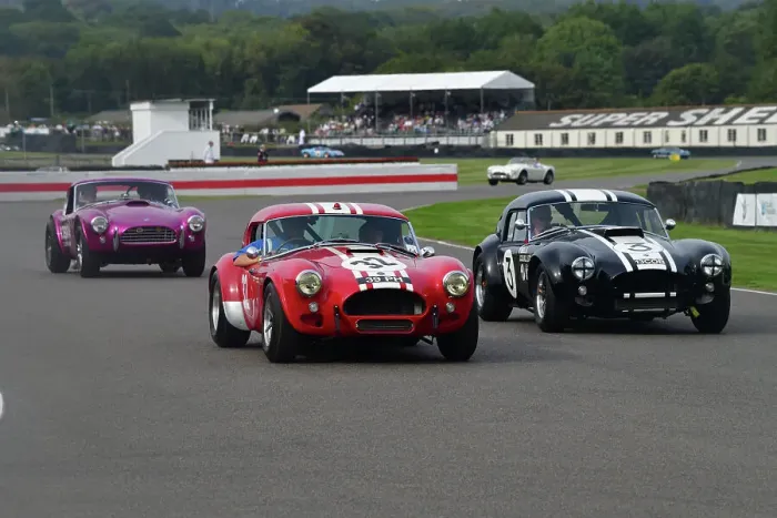 Rights Managed : CJ13 1322 An intriguing pair of AC Cobras Rights Managed : CJ13 1322 An intriguing pair of AC Cobras