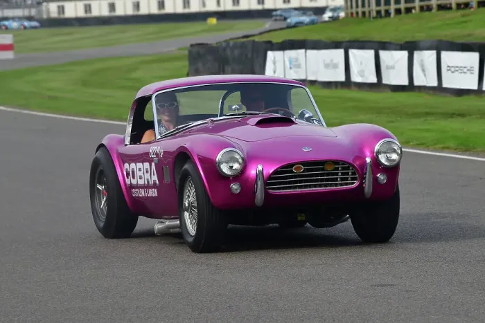 Rights Managed : CJ13 1323 AC Cobra, Dragonsnake Rights Managed : CJ13 1323 AC Cobra, Dragonsnake