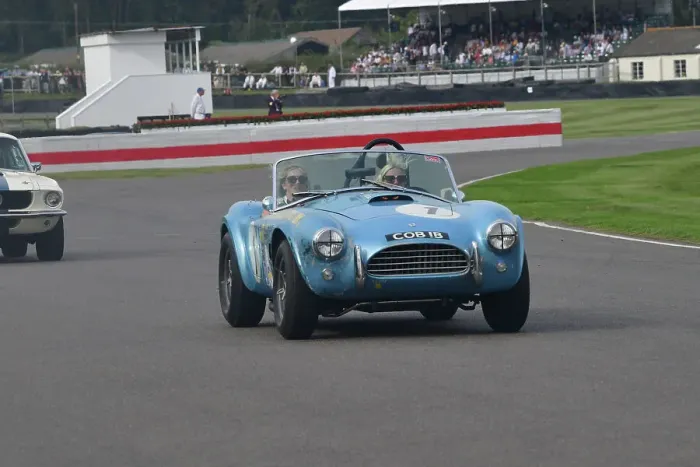 Rights Managed : CJ13 1328 AC Cobra Rights Managed : CJ13 1328 AC Cobra