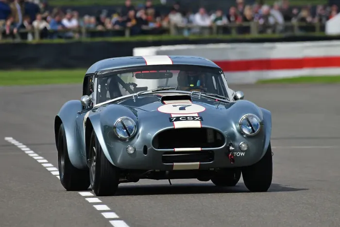Rights Managed : CJ13 5416 Saif Assam, AC Cobra Rights Managed : CJ13 5416 Saif Assam, AC Cobra