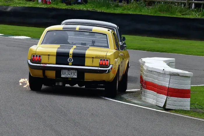 Rights Managed : CJ13 6309 Andy Priaulx, Alex Taylor, Ford Mustang Rights Managed : CJ13 6309 Andy Priaulx, Alex Taylor, Ford Mustang