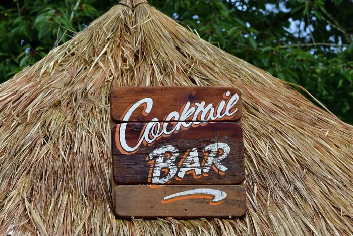 Rights Managed : CJ14 9035 Thatched roof of the Cocktail bar Rights Managed : CJ14 9035 Thatched roof of the Cocktail bar