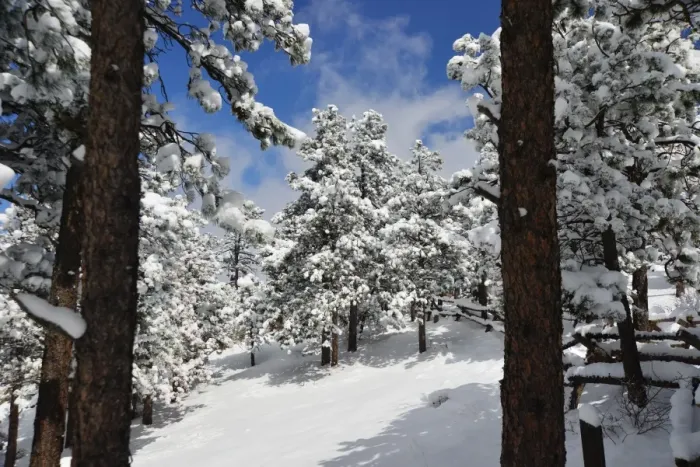 Framed Print : CJ3 3114 Winter snowscape Framed Print : CJ3 3114 Winter snowscape