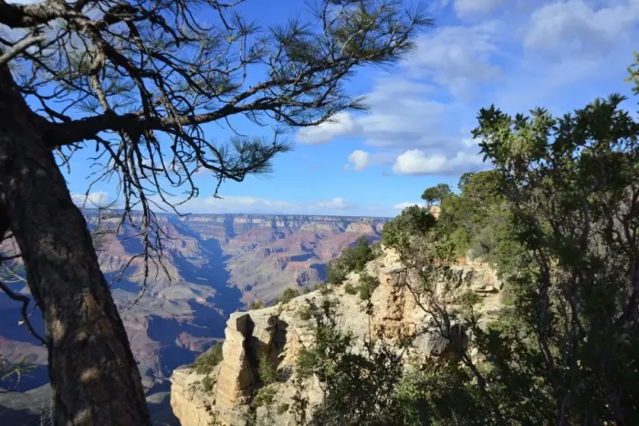 Framed Print : CJ3 3815 Grand Canyon vista Framed Print : CJ3 3815 Grand Canyon vista