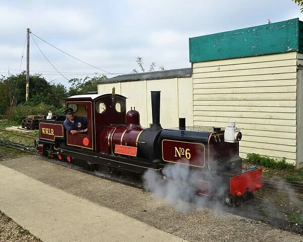 CJ4 6016 Norfolk Heroine steam loco