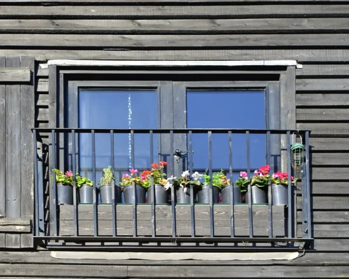 Framed Print : CJ4 8568 Gerainiums in window box Framed Print : CJ4 8568 Gerainiums in window box
