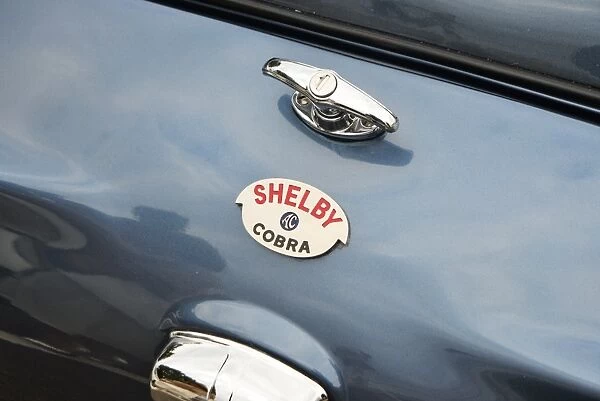 CJ6 2178 Shelby AC Cobra