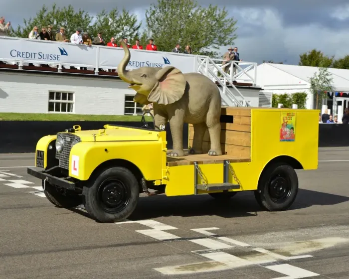 Rights Managed : CJ6 2273 Elephant drives Land Rover Rights Managed : CJ6 2273 Elephant drives Land Rover