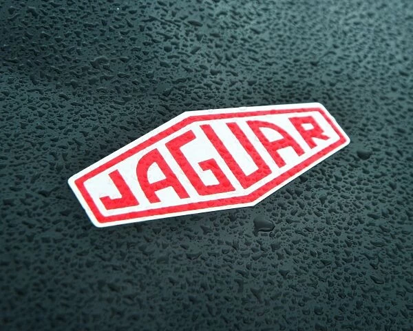 CJ6 5031 Martin Stretton, Jaguar E-Type