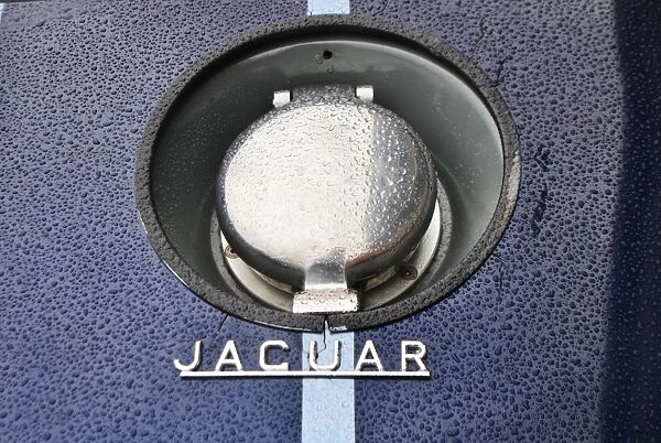 CJ6 5044 Jaguar E-Type