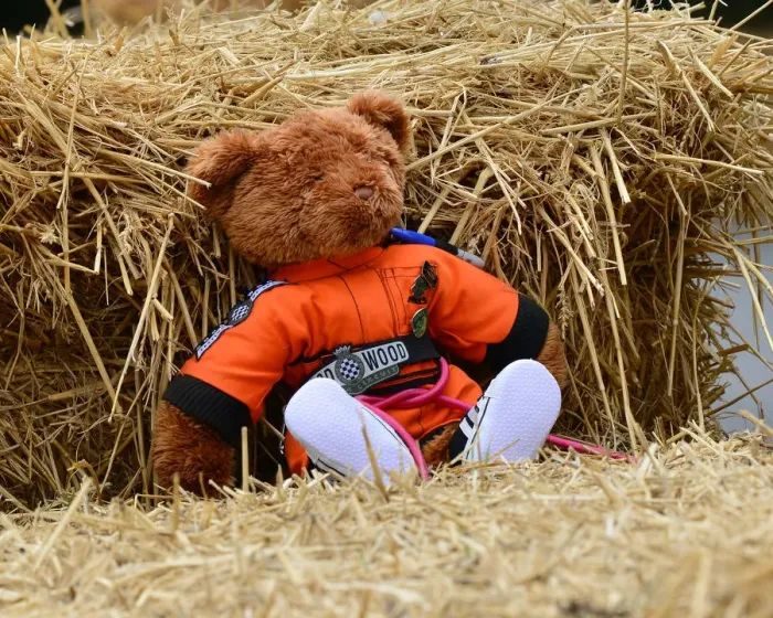 Rights Managed : CJ7 9711 Marshal Bear Rights Managed : CJ7 9711 Marshal Bear