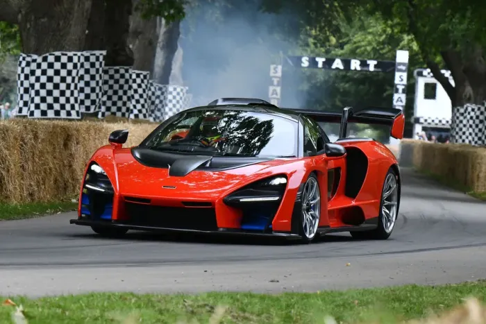 Rights Managed : CJ9 0278 McLaren Senna Rights Managed : CJ9 0278 McLaren Senna