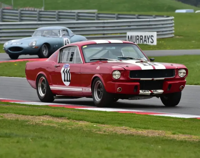 Framed Print : CM1 6900 Chas Mallard, Shelby Mustang GT350, OPF 4 E Framed Print : CM1 6900 Chas Mallard, Shelby Mustang GT350, OPF 4 E