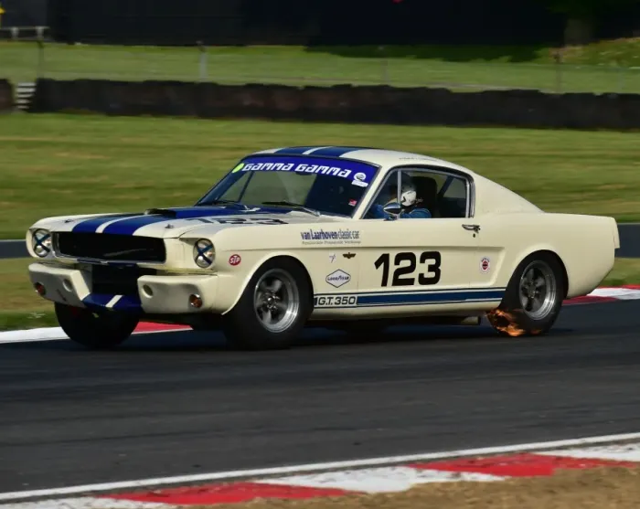 Framed Print : CM13 5115 Marcel van Laarhoven, Shelby Mustang Framed Print : CM13 5115 Marcel van Laarhoven, Shelby Mustang