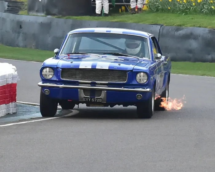 Rights Managed : CM18 2532 Michael Squire, Ford Mustang Rights Managed : CM18 2532 Michael Squire, Ford Mustang