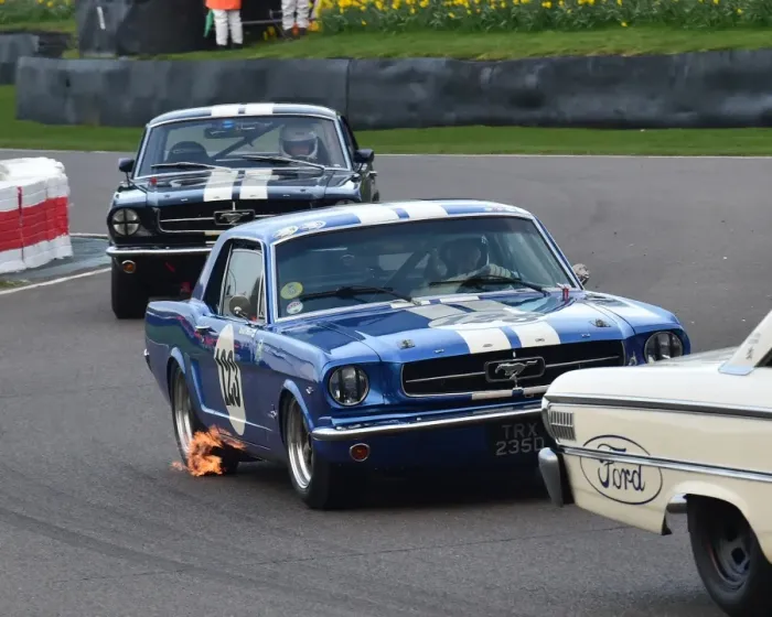 Rights Managed : CM18 2546 David Clifford, Ford Mustang Rights Managed : CM18 2546 David Clifford, Ford Mustang