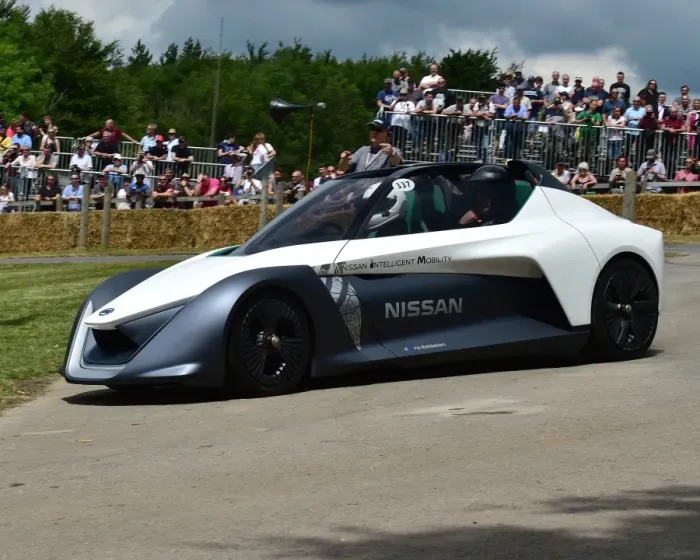 Rights Managed : CM19 9033 Nissan Bladeglider