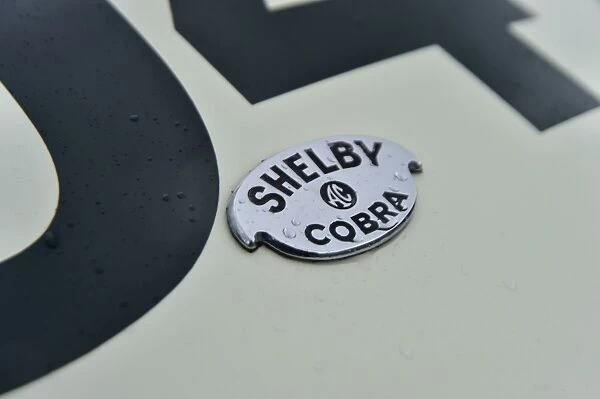 CM2 4969 Shelby AC Cobra
