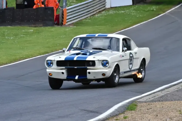 Framed Print : CM2 6783 Jeremy Cooke, Mike Dowd, Shelby Mustang GT350, Gentlemen Drivers, Pre-66 GT cars Framed Print : CM2 6783 Jeremy Cooke, Mike Dowd, Shelby Mustang GT350, Gentlemen Drivers, Pre-66 GT cars