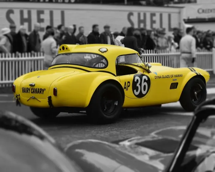 Rights Managed : CM21 1832 Bill Bridges, Ludovic Lindsay, AC Cobra, Hairy Canary Rights Managed : CM21 1832 Bill Bridges, Ludovic Lindsay, AC Cobra, Hairy Canary