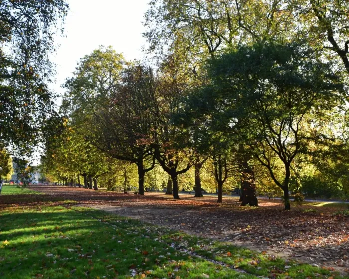 Framed Print : CM21 8092 Hyde Park, London Framed Print : CM21 8092 Hyde Park, London