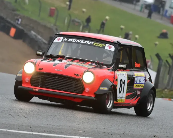 Framed Print : CM22 0473 Alfie Brown, Mini Miglia Framed Print : CM22 0473 Alfie Brown, Mini Miglia