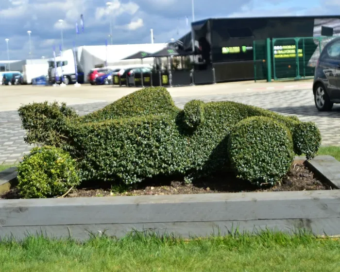 Framed Print : CM22 7846 Racing car topiary Framed Print : CM22 7846 Racing car topiary