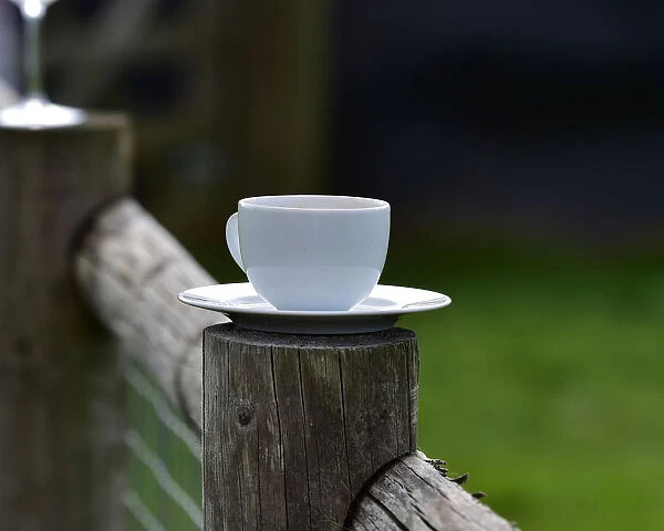 CM25 6003 Cup and saucer