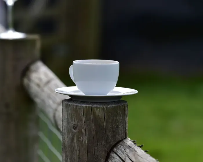 Rights Managed : CM25 6003 Cup and saucer Rights Managed : CM25 6003 Cup and saucer