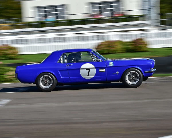 CM25 9921 Michael Squire, Shelby Mustang GT350