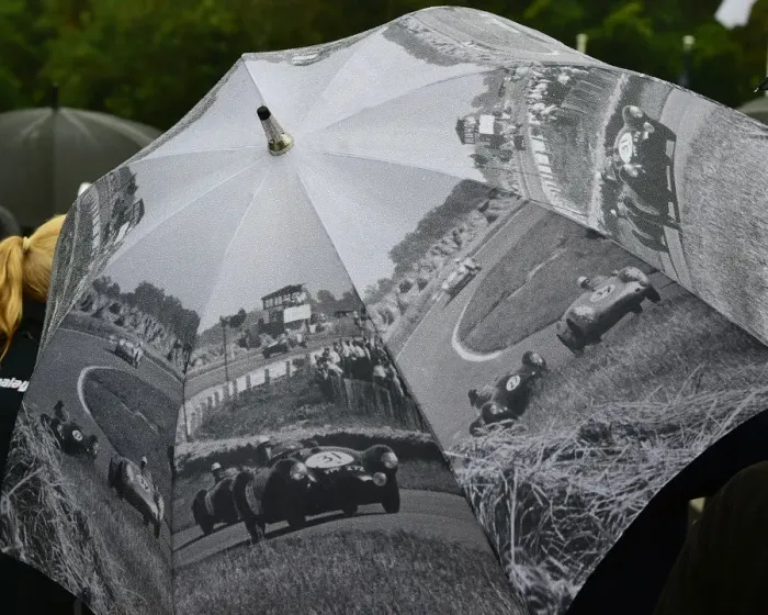 Rights Managed : CM28 9377 Racing umbrella Rights Managed : CM28 9377 Racing umbrella