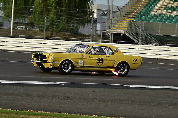 CM33 8555 Andy Priaulx, Alex Taylor, Ford Mustang