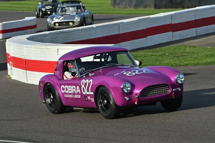 Rights Managed : CM34 0691 Mike Whitaker, Andrew Jordan, AC Cobra, Dragonsnake Rights Managed : CM34 0691 Mike Whitaker, Andrew Jordan, AC Cobra, Dragonsnake