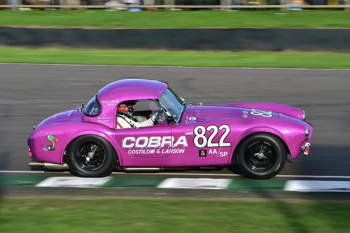 Rights Managed : CM34 0745 Mike Whitaker, Andrew Jordan, AC Cobra, Dragonsnake Rights Managed : CM34 0745 Mike Whitaker, Andrew Jordan, AC Cobra, Dragonsnake