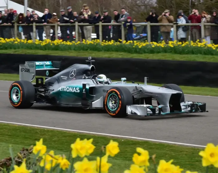 Rights Managed : CM6 3375 Anthony Davidson, Mercedes-AMG W04 Rights Managed : CM6 3375 Anthony Davidson, Mercedes-AMG W04