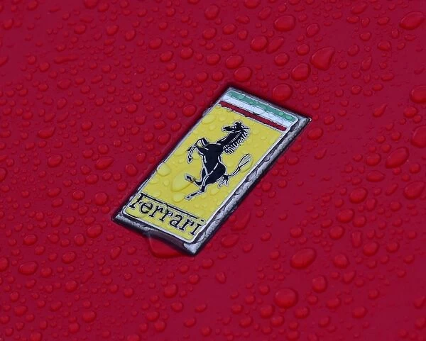 CM9 5800 Rain drops on a Ferrari