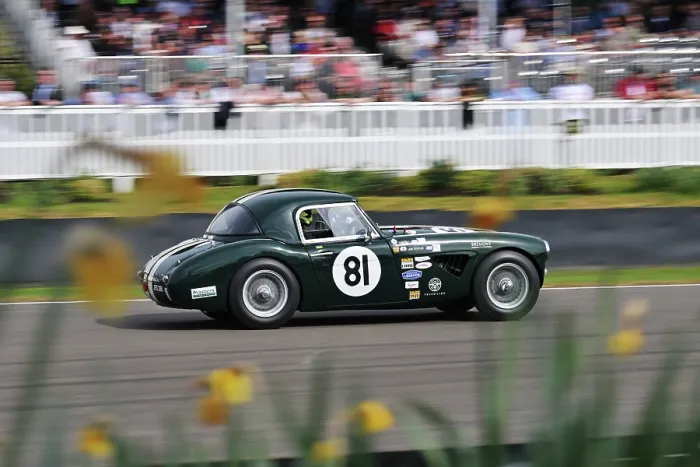 Rights Managed : CZ1_7397 Joseph Willmott, Austin-Healey 3000 Mk I.jpg