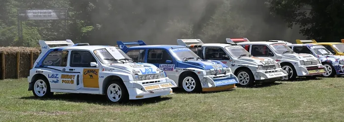 Rights Managed : CZ3_2289 A brace of Metro 6R4's.jpg