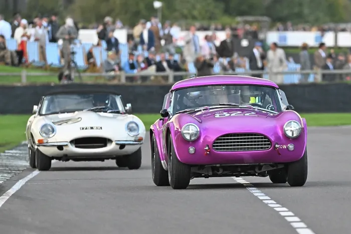 Rights Managed : CZ4_7287 Jimmie Johnson, Tom Hartley Jnr, AC Cobra Dragonsnake.jpg Rights Managed : CZ4_7287 Jimmie Johnson, Tom Hartley Jnr, AC Cobra Dragonsnake.jpg