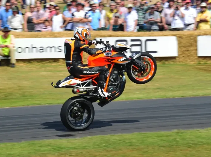 Rights Managed : Goodwood Festival of Speed 2013