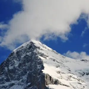 The Eiger Print, Grindelwald View