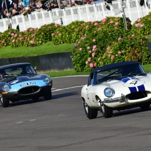 CJ10 0549Gregor Fisken, Jaguar E-Type CJ10 0549Gregor Fisken, Jaguar E-Type