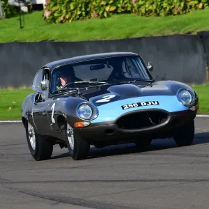 CJ10 0550 Richard Meins, Jaguar E-Type FHC CJ10 0550 Richard Meins, Jaguar E-Type FHC