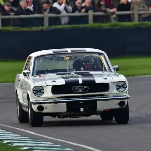 CJ10 0781 Jochen Mass, Graeme Langford, Ford Mustang CJ10 0781 Jochen Mass, Graeme Langford, Ford Mustang