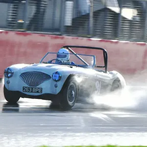 CJ10 3006 Matthew Collings, Austin Healey 100M CJ10 3006 Matthew Collings, Austin Healey 100M