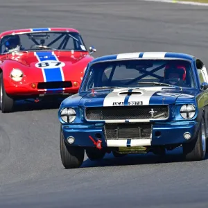Ford Mustang Shelby GT350 Print Ford Mustang Shelby GT350 Print
