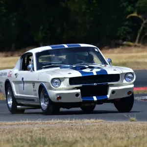 CJ11 6698 Mike Thorne, Shelby Mustang GT350 CJ11 6698 Mike Thorne, Shelby Mustang GT350