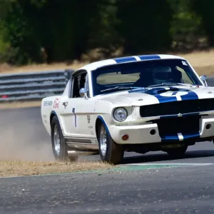 CJ11 6721 Mike Thorne, Shelby Mustang GT350 CJ11 6721 Mike Thorne, Shelby Mustang GT350