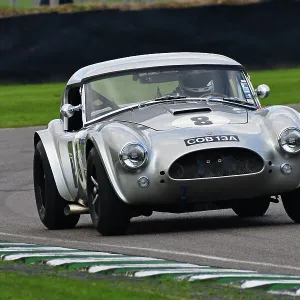 CJ12 1554 Marino Franchitti, Phillip Kadoorie, AC Cobra